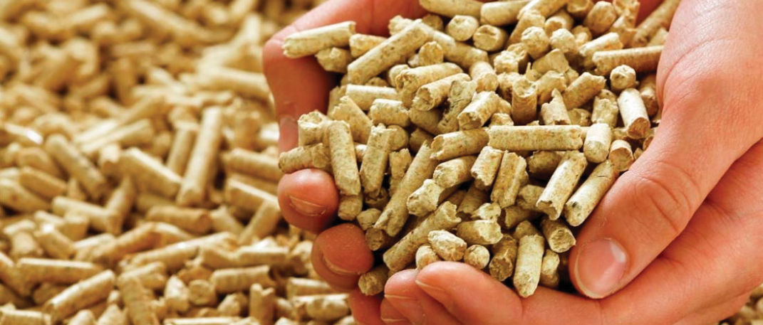 Pellets